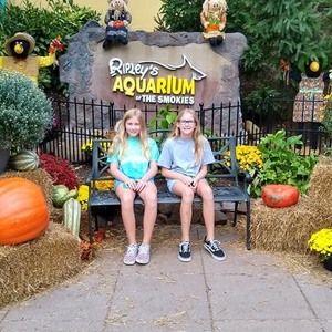 Meet your Posher, Addison